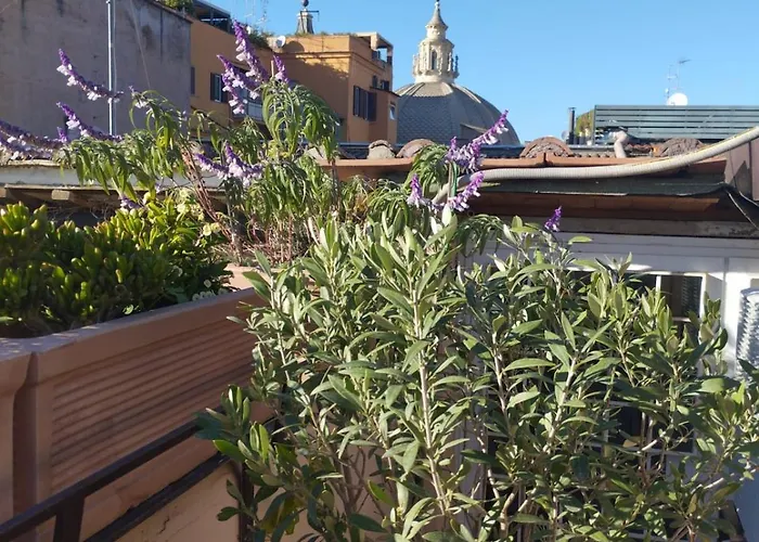 Terrace Penthouse Appartement *